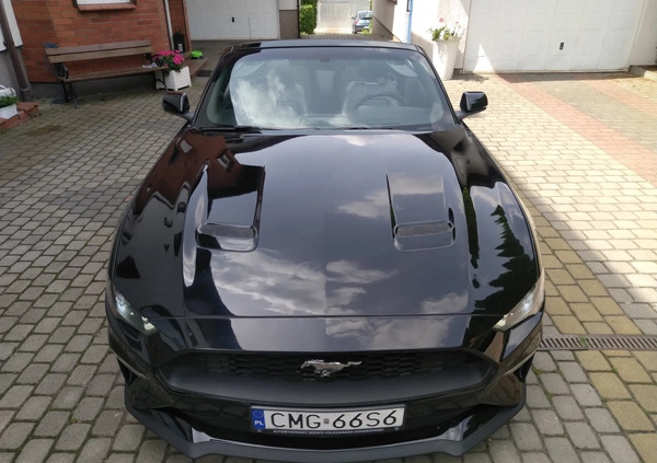 Ford Mustang cena 93000 przebieg: 100000, rok produkcji 2018 z Mogilno małe 326